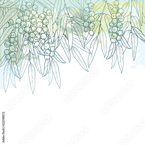 Vector bunch with outline Elaeagnus or silverberry or oleaster tree. Twig with fruit bunch and ornate leaf in pastel silver green on the textured background. Contour Elaeagnus for autumn design.