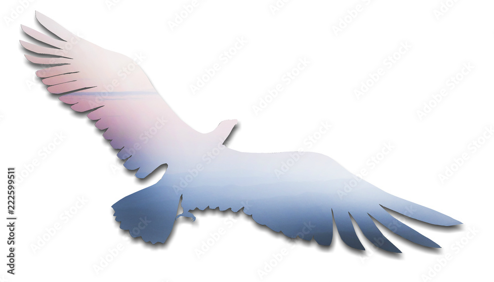 Birds and sky backgrounds with / illustrations Birds and sky backgrounds with / illustrations