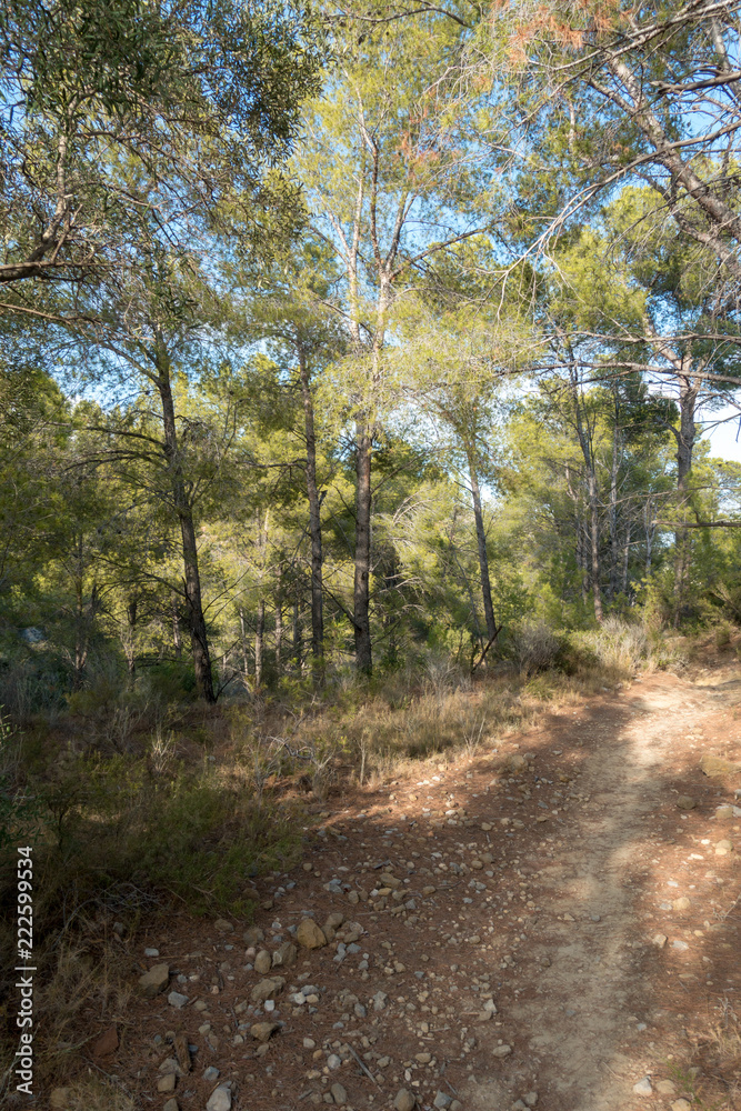 The desert park of Las Palmas in Castellón The desert park of Las Palmas in Castellón