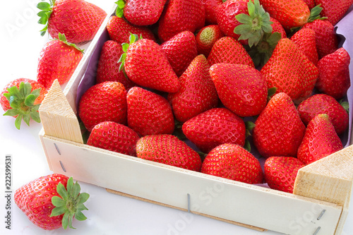 caissette de fraises photo