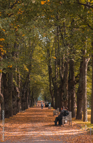 people sitting along the alley in the distance and a ornate bench in the park in the autumn