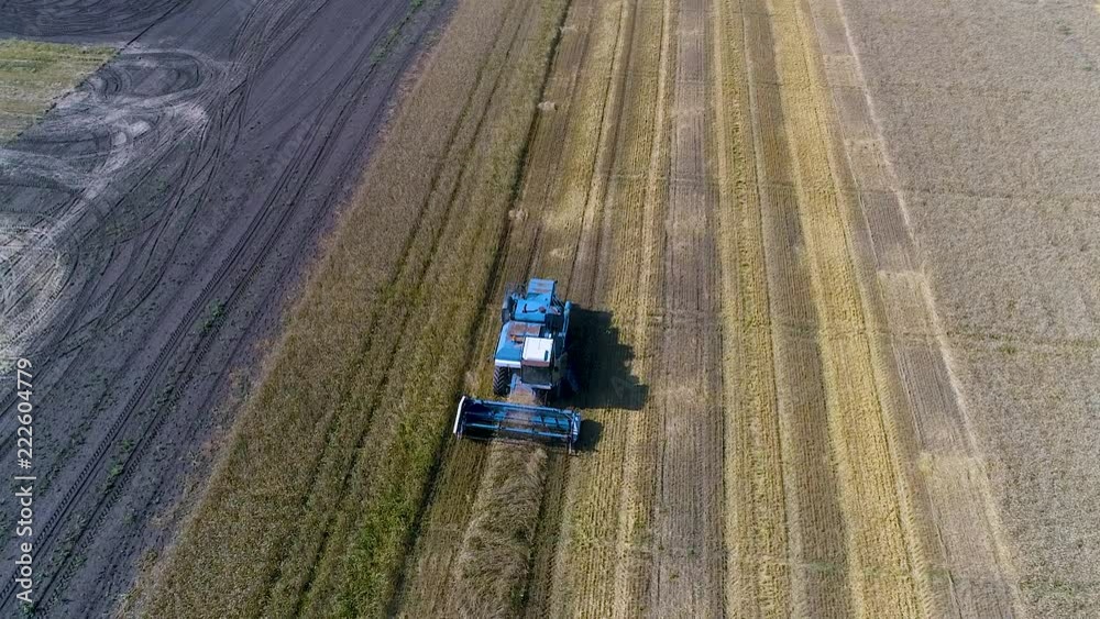 Combine harvester gathers wheat. Aerial view Combine harvester gathers wheat. Aerial view