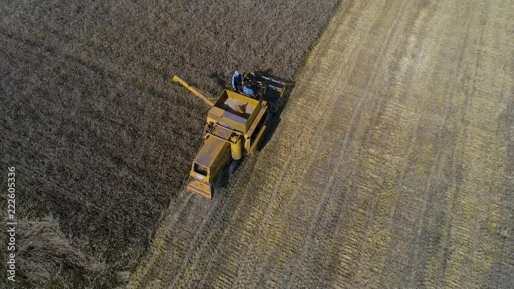 Old Combine harvester gathers wheat. Aerial view Old Combine harvester gathers wheat. Aerial view