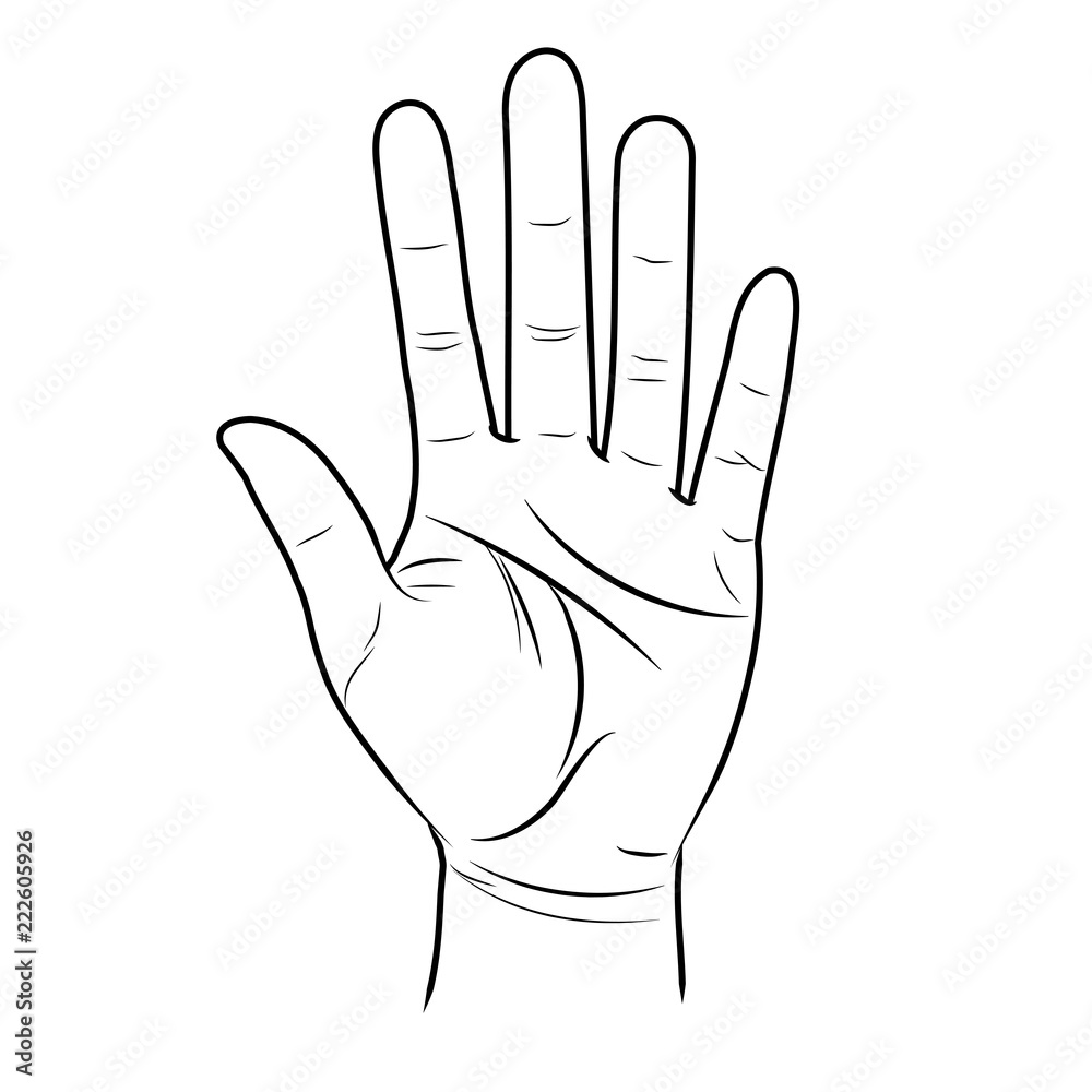 The open hand is lifted up. Divination by lines on the palm The open hand is lifted up. Divination by lines on the palm