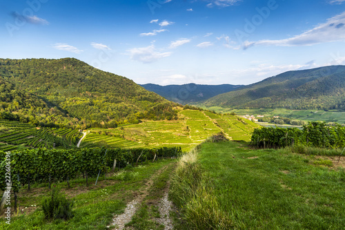 Road to vineyards in Wachau valley. Austria.