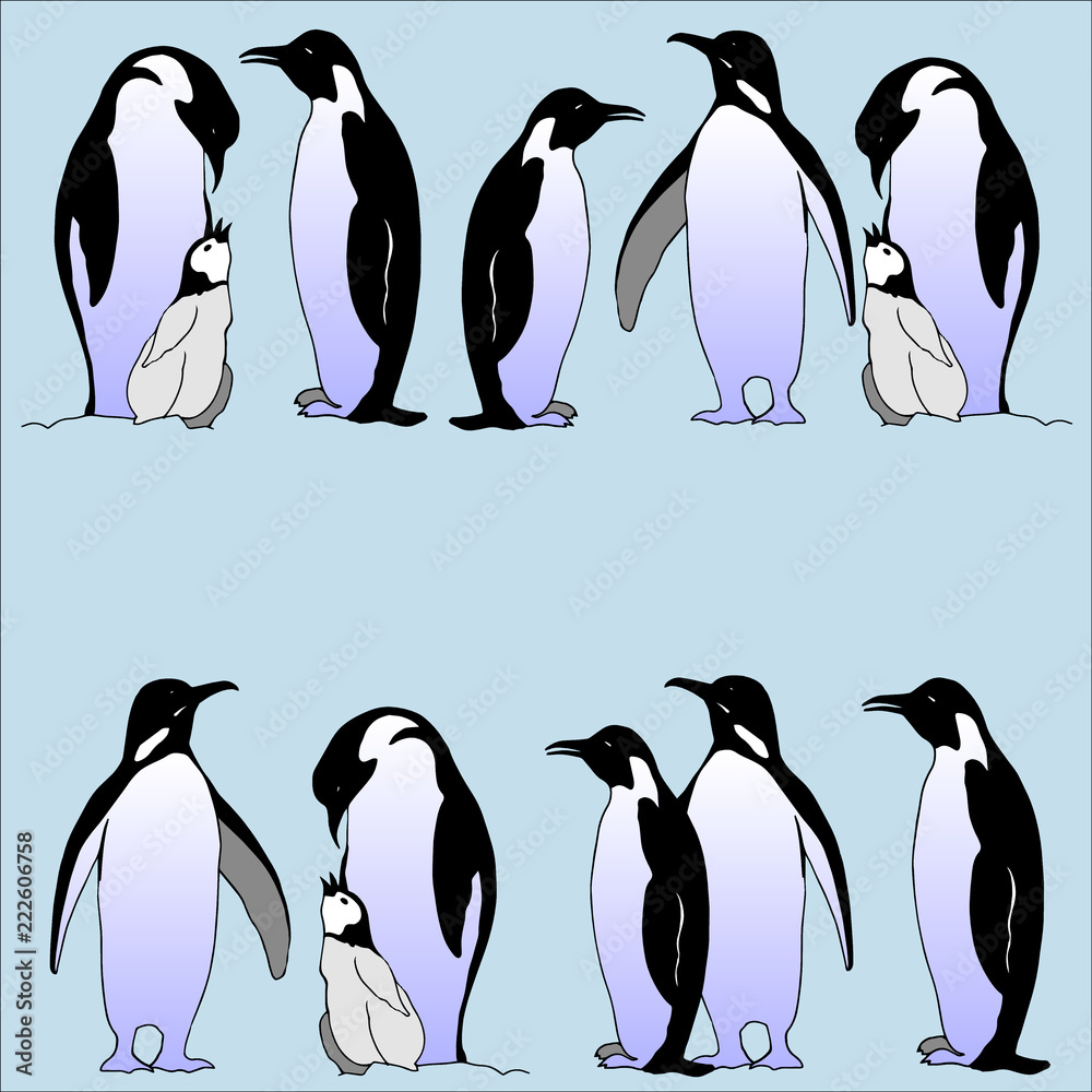 Obraz premium Vector realistic emperor penguins on a light blue background