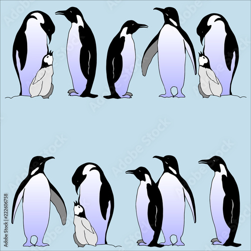 Vector realistic emperor penguins on a light blue background