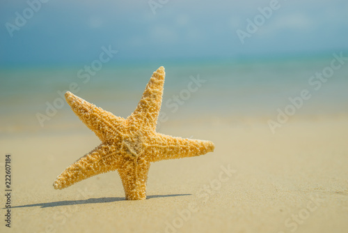 A starfish besides sea shore on a beach with white sand