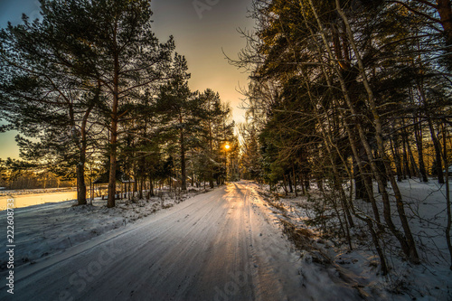 road in winter forest © konstantin
