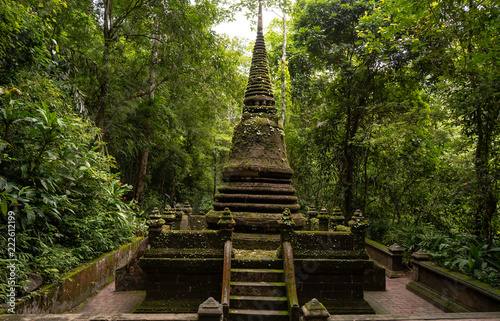 moss Pagoda