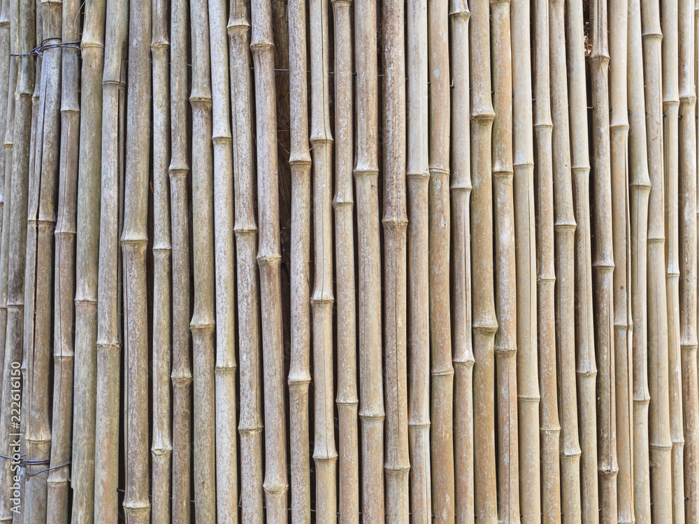 Bamboo fench background Bamboo fench background