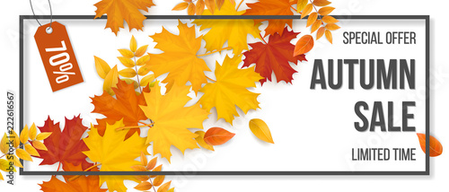 Autumn sale. Fallen maple leaves, frame and typographics. Background for invitation, discount offer or flyer. Realistic detailed vector template.