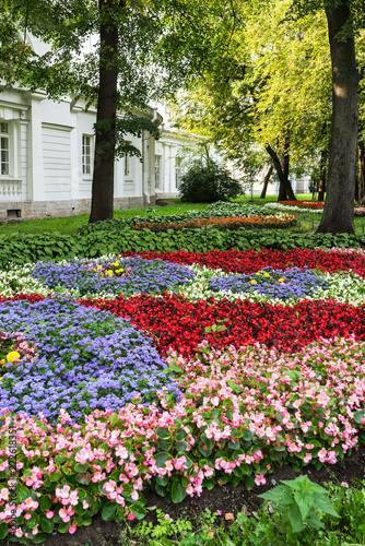 Fototapeta Naklejka Na Ścianę i Meble -  St. Petersburg. The city park on the Yelagin Island. Beautiful flower gardens of multi-colored flowering plants in the August afternoon