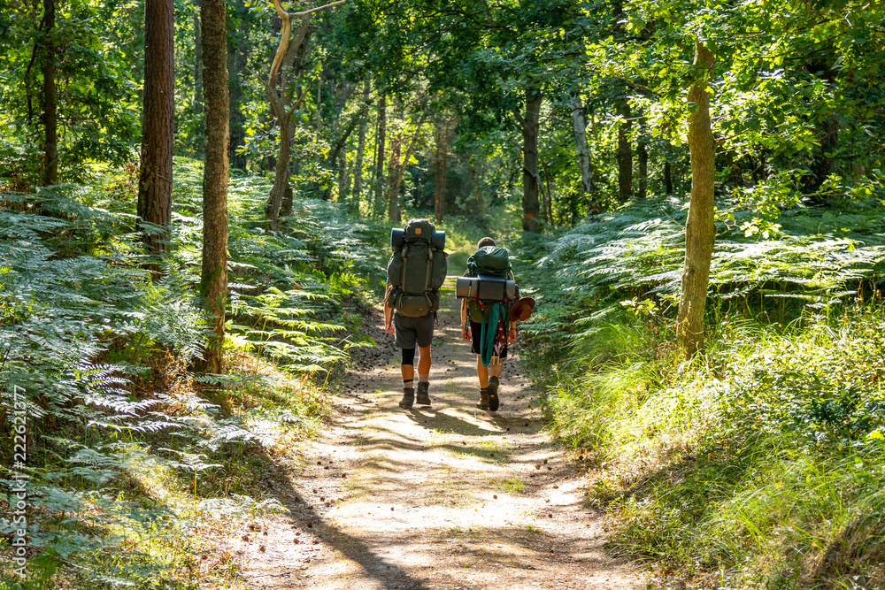 Obraz premium Two young adults hiking along a straight part of 