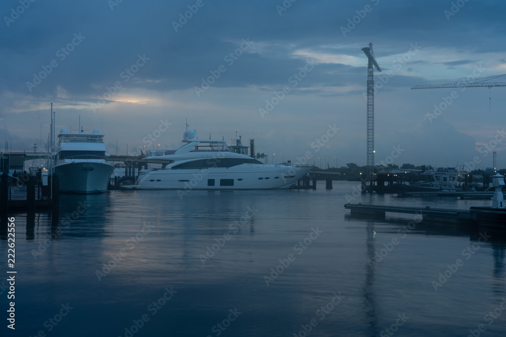 Harbor Morning