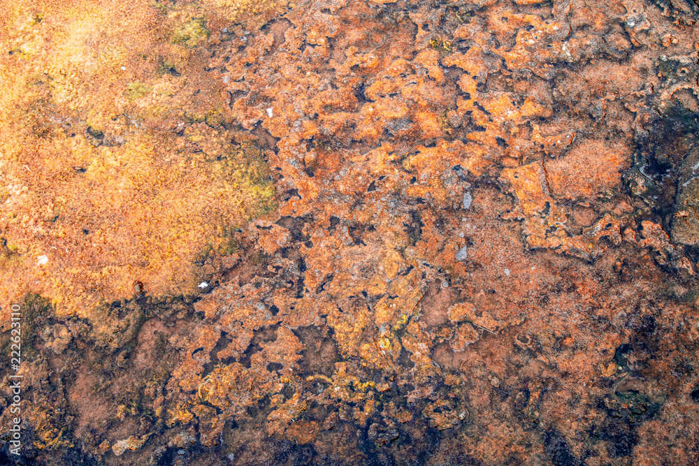 Colorful natural textured pattern Colorful natural textured pattern