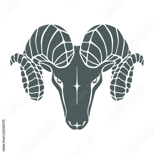 Aries graphic icon. Head ram gray sign isolated on white background. Symbol argali. Vector illustration photo