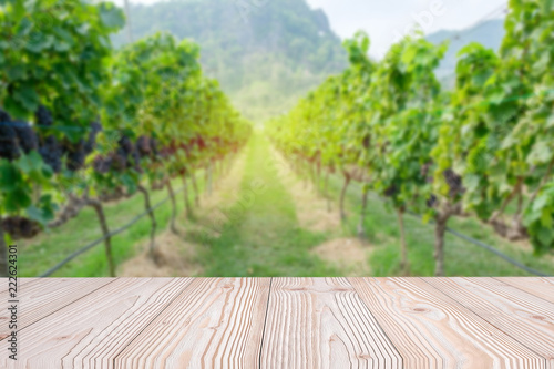 Empty wood table with freshly grapes, Vineyards in autumn harvest background, Mock up for your product display or montage