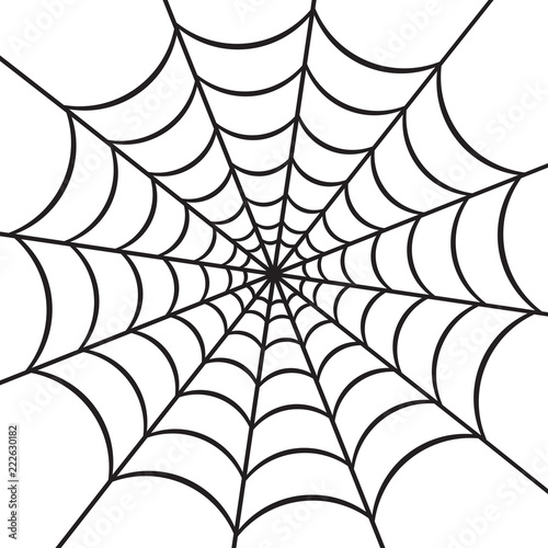 spider web vector illustration