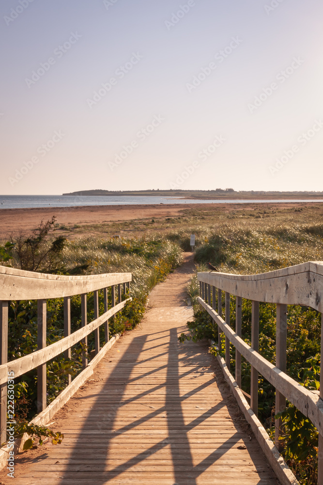 Sandy boardwalk to a Prince Edward island beach at sun rise Sandy boardwalk to a Prince Edward island beach at sun rise