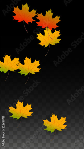 September Vector Background with Golden Falling Leaves. Autumn Illustration with Maple Red, Orange, Yellow Foliage. Isolated Leaf on Transparent Background. Bright Swirl. Suitable for Posters.