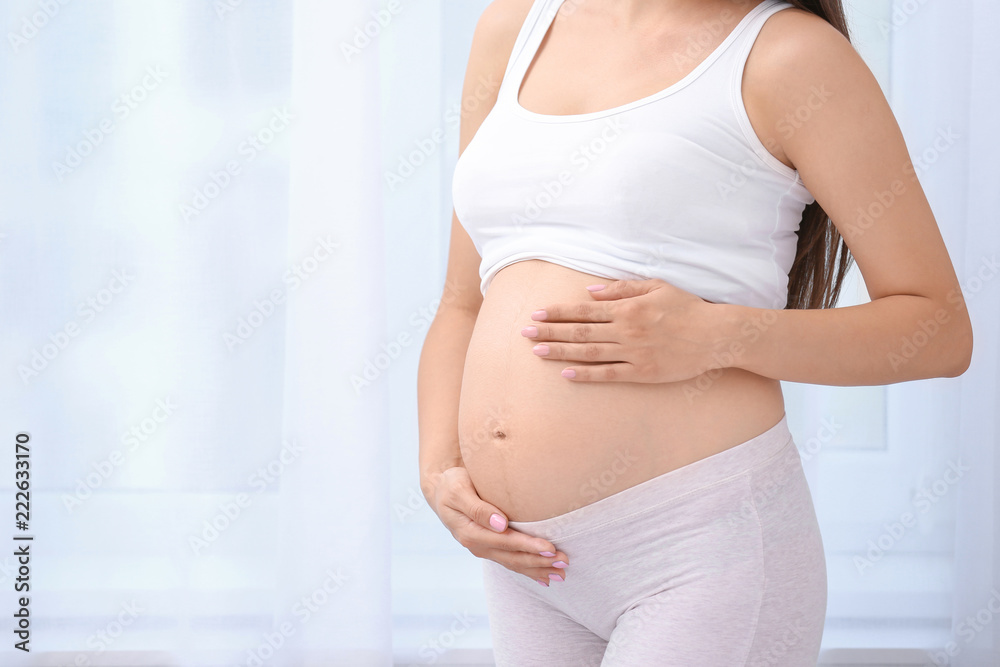 Young pregnant woman near window at home, closeup Young pregnant woman near window at home, closeup