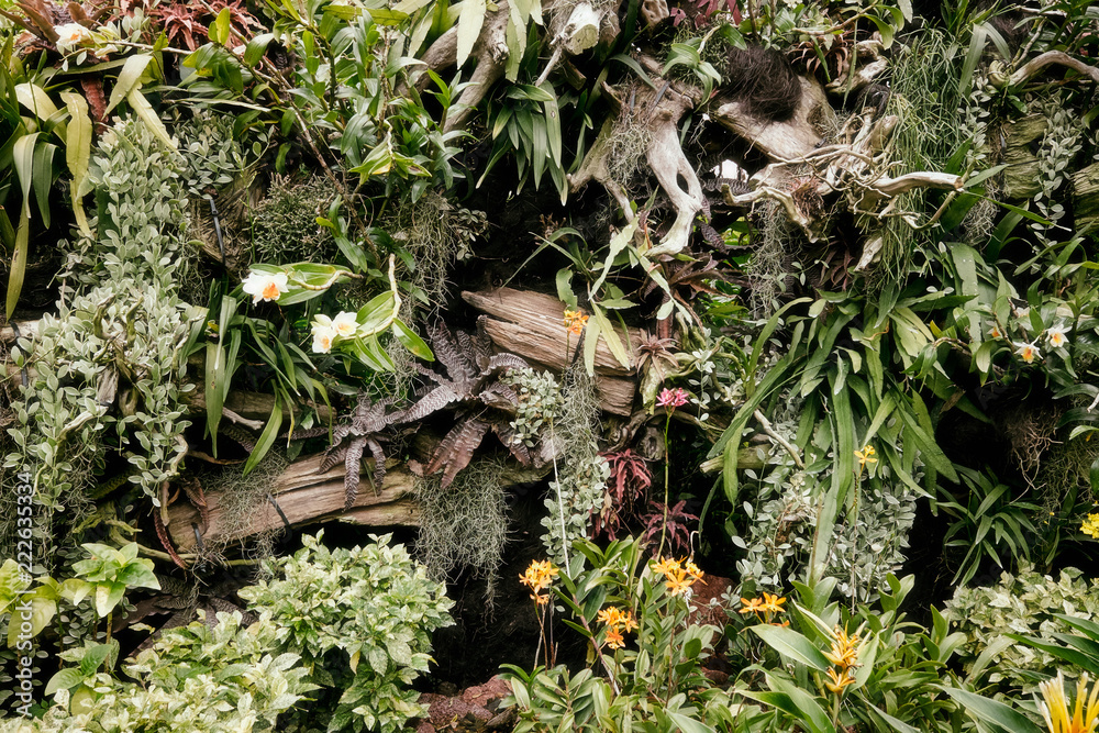 Singapore, Botanic Garden