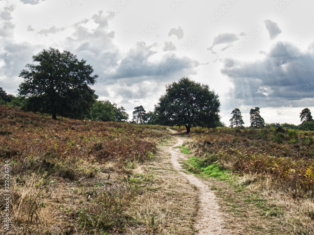 Obraz premium Rundgang Wahner Heide 