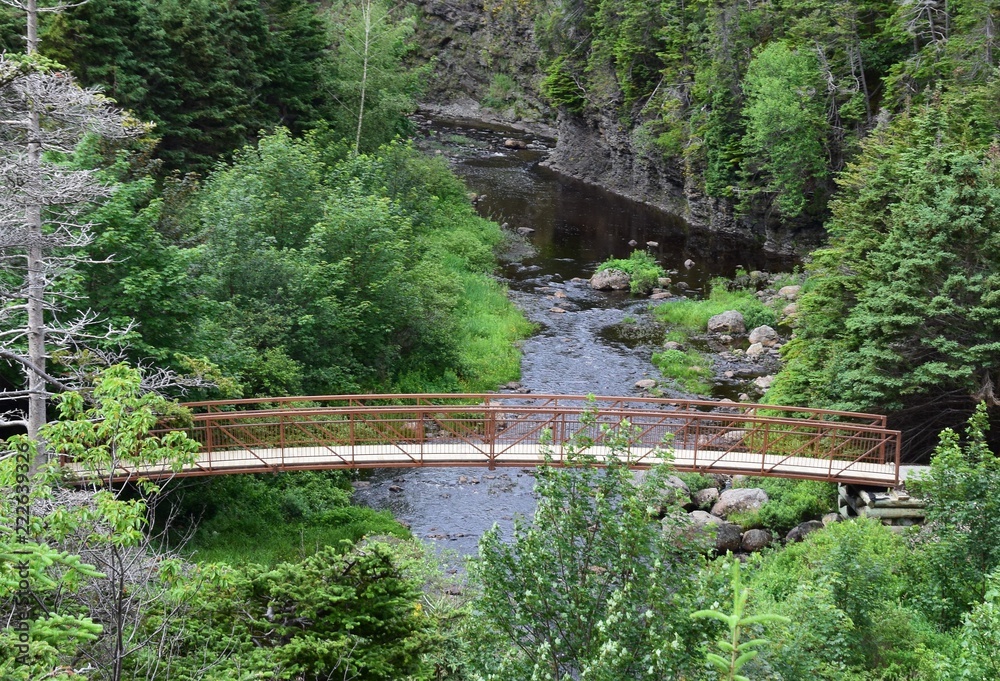 high angle view towards a bridge crossing a river in a forest area, Manuel River, Conception Bay South NL Canada