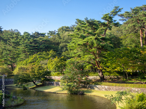 【静岡・伊豆】日本庭園の風景【夏】