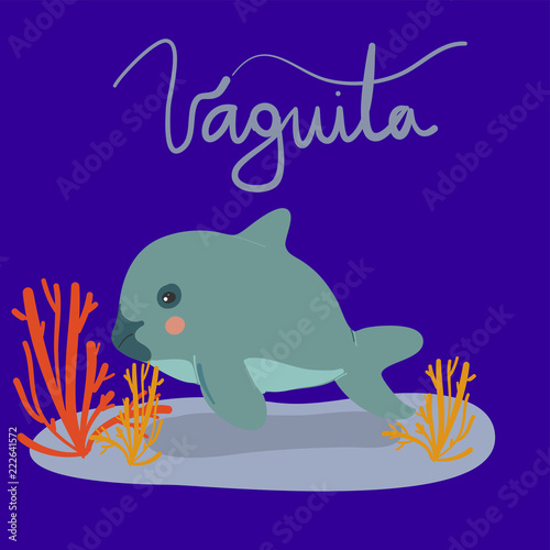 vaquita marina vector illustration