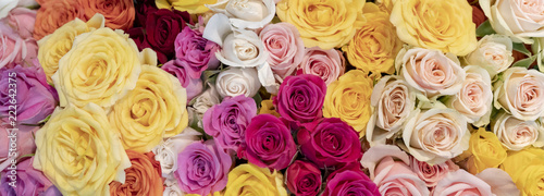 Floral background. Pink  yellow   red and orange roses.