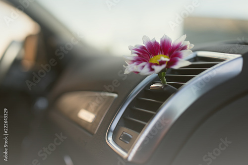 car air conditioner freshness