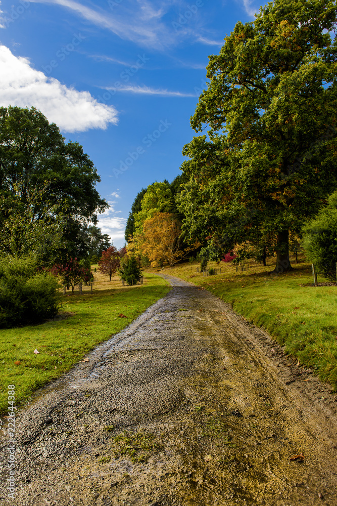 Wonderful autumn colours in a park near Tunbridge Wells in Kent, England