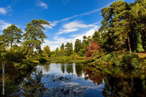 Wonderful autumn colours in a park near Tunbridge Wells in Kent, England