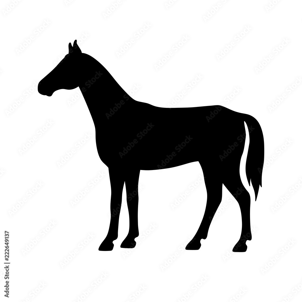 Isolated black silhouette of standing horse on white background. Side view.