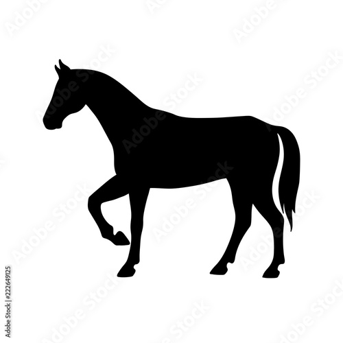 Isolated black silhouette of standing horse on white background. Side view.