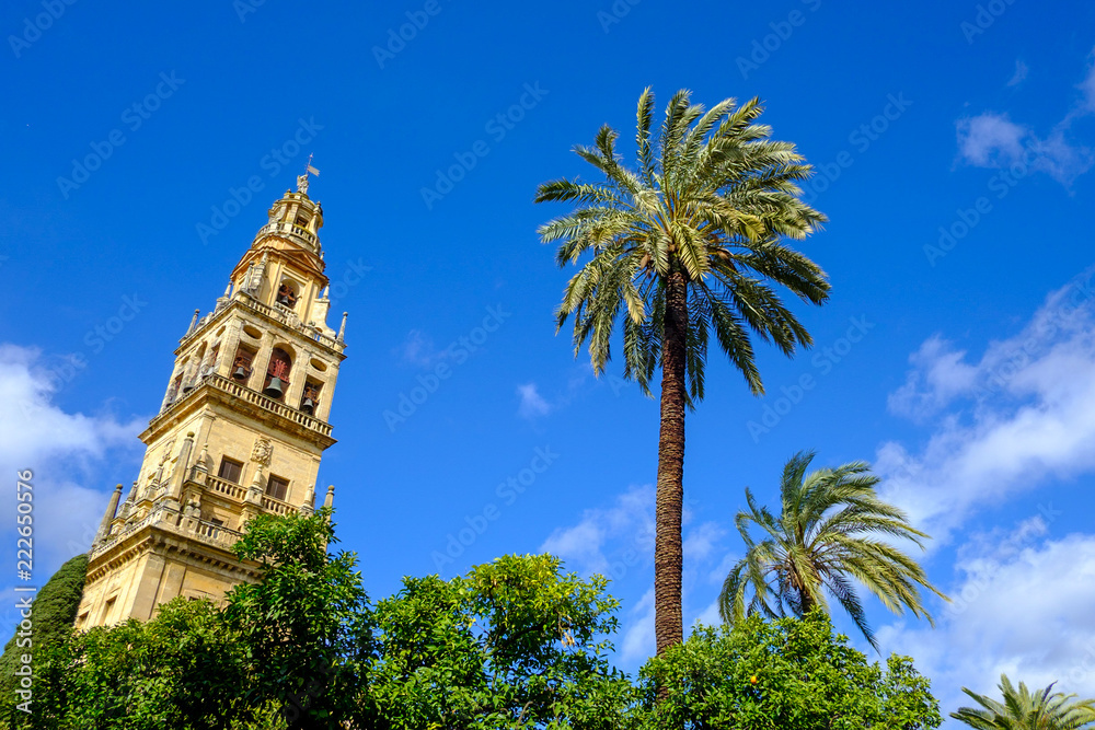spain cordoba clock tower and palm with sunny sky