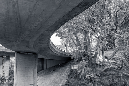 Canvas Print flyover concrete and nature in bw