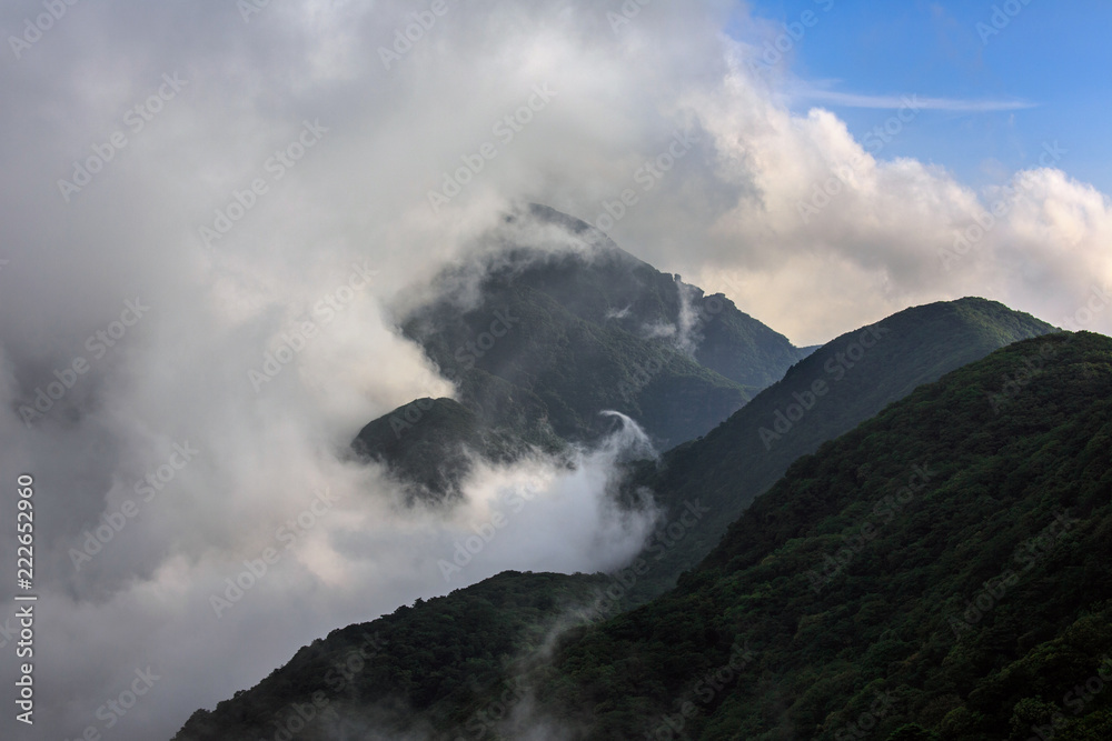 Fanjingshan, Mount Fanjing Nature Reserve - Sacred Mountain of Chinese Buddhism in Guizhou Province, China. UNESCO World Heritage List - China National Parks, Summit View, Sea of Clouds and forest
