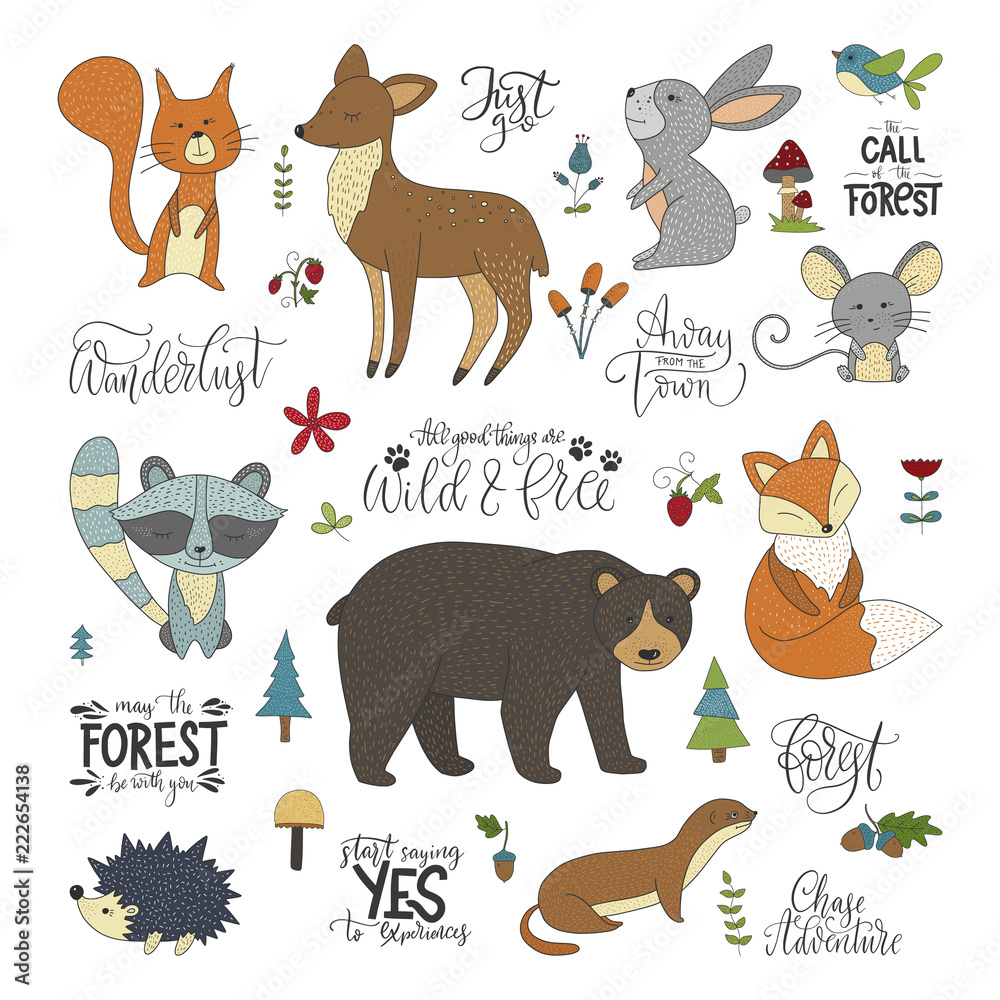 Set of handdrawn cute forest animals and lettering quotes. Vector  illustrations with raccoon, squirrel, hare, mouse, bear, fox, deer,  hedgehog and weasel. Stock Vector | Adobe Stock