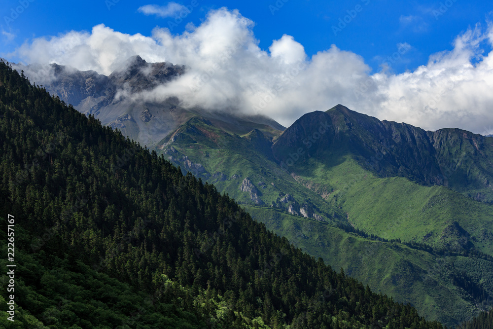 Alpine forest and mountains in Huanglong Scenic Area, Sichuan Province China. Beautiful and exotic natural geological landforms caused by erosion over time, Chinese yellow dragon natural terraces