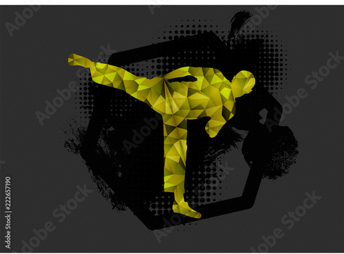 Young male karate warrior. Healthy lifestyle.
