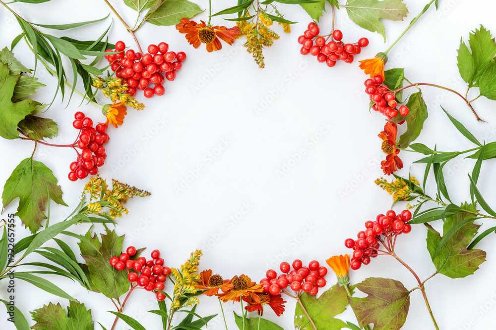 Autumn floral composition. Frame made of viburnum berries on white background. Autumn fall natural plants ecology fresh wallpaper concept. Flat lay, top view, copy space