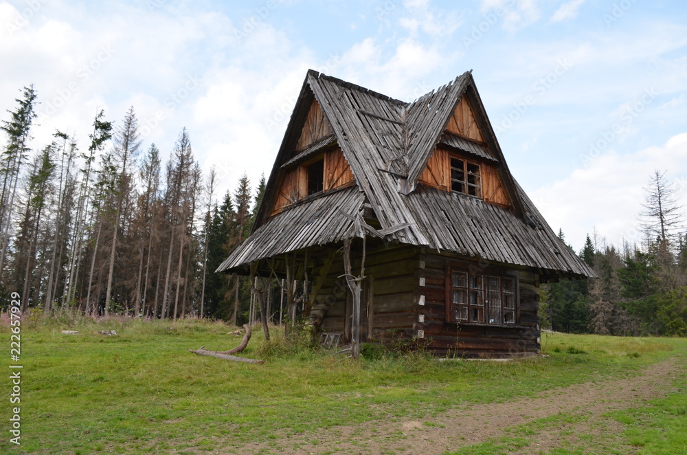 Mały drewniany domek opuszczony po pożarze lasu, Butorowy Wierch, Polska Mały drewniany domek opuszczony po pożarze lasu, Butorowy Wierch, Polska