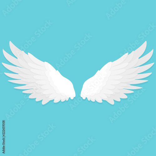 weiße Flügel Flat Design Icon