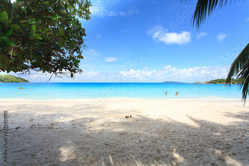 Fototapeta Naklejka Na Ścianę i Meble -  Seychelles Beach with white Sand and blue water