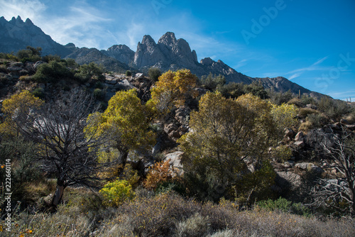 Fall in Southern New Mexico