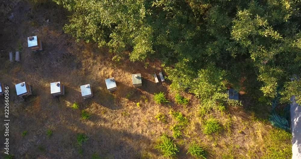 BEEKEEPING PANEL AERIAL VIEW