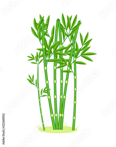 Light cartoon bamboo grove. Bamboo cartoon forest. Vector illustration